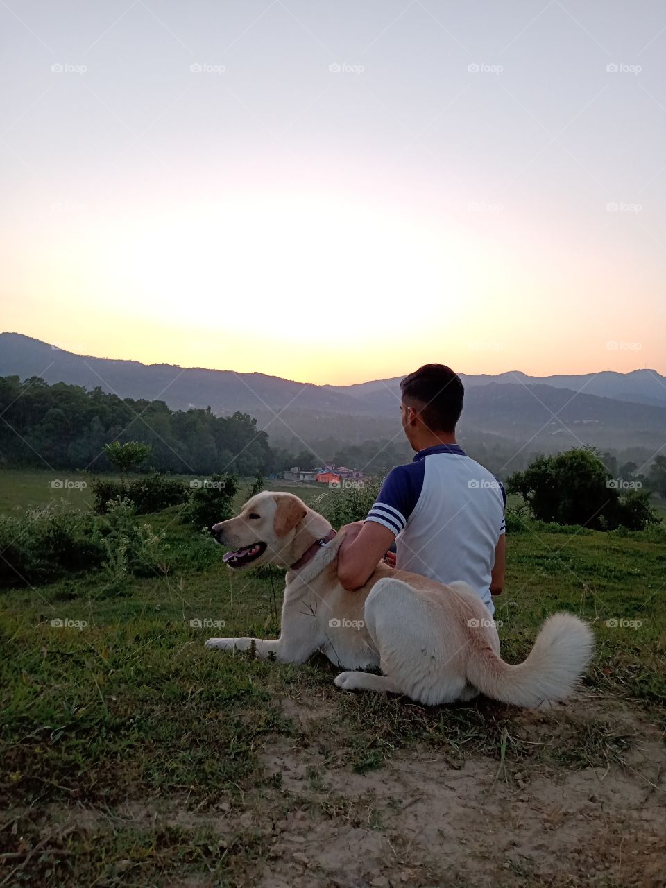 Dog and boy watching sunset together.