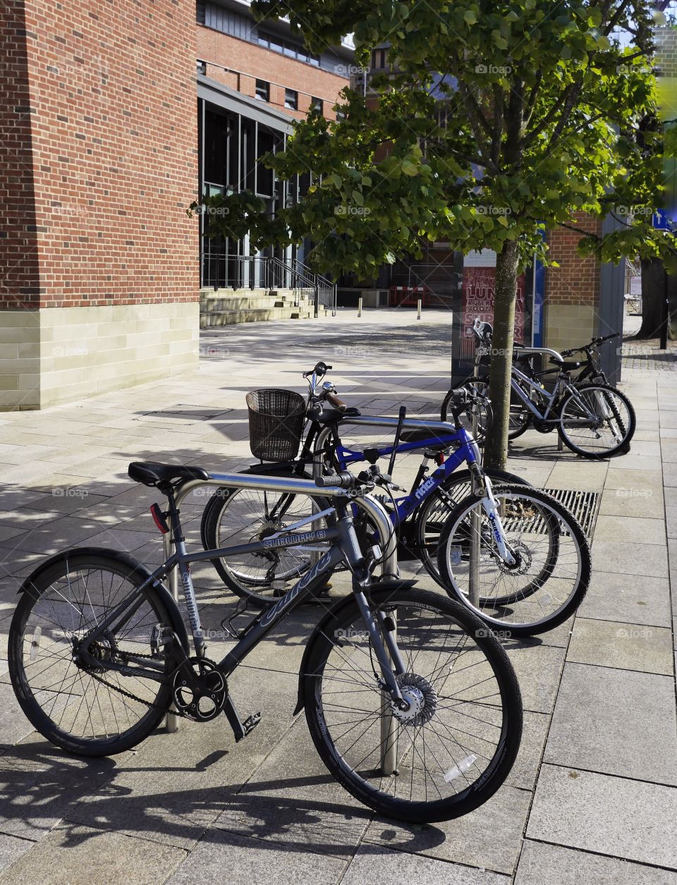 Bikes. Cycling