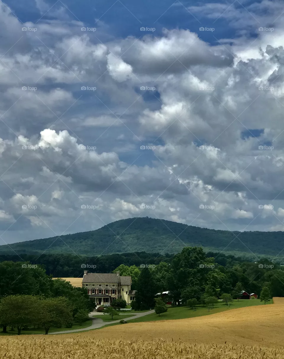 A house with a view