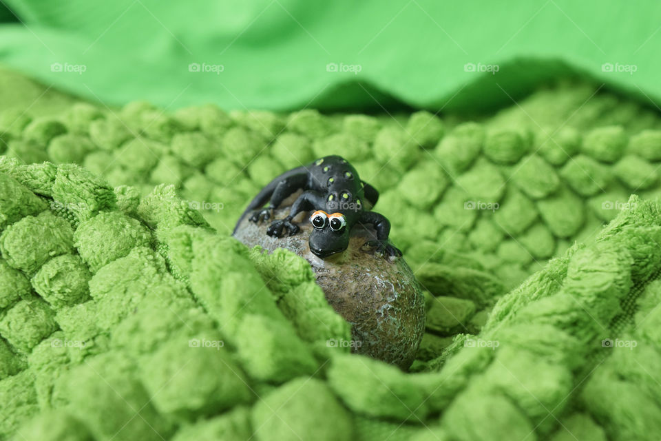 Little friend - toy lizard in the green