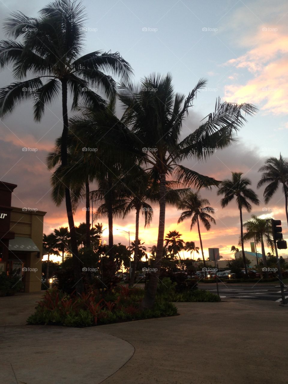 Ward Center, Ward Village sunset. Honolulu, Hawaii