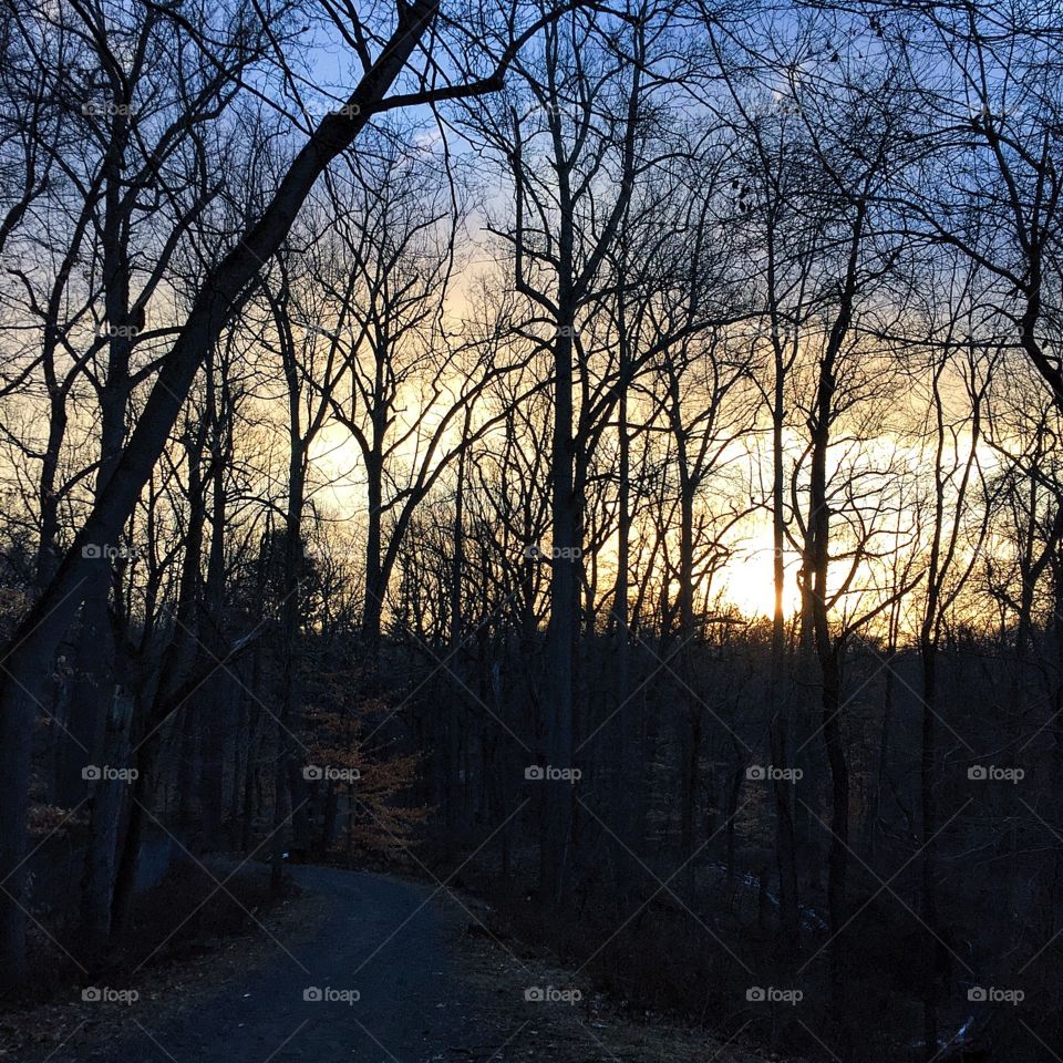 "Today, just take time to smell the roses, enjoy those little things about your life, your family, spouse, friends, job. Forget about the thorns—the pains and problems they cause you—and enjoy life.” ~Bernard Kelvin Clive