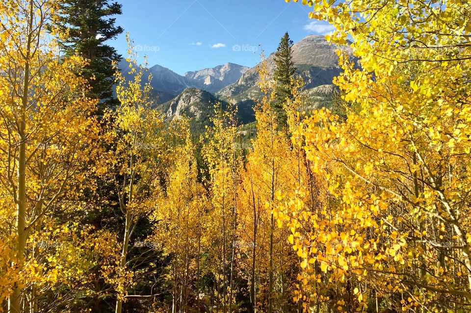 Fall in Rocky Mountain National Park 