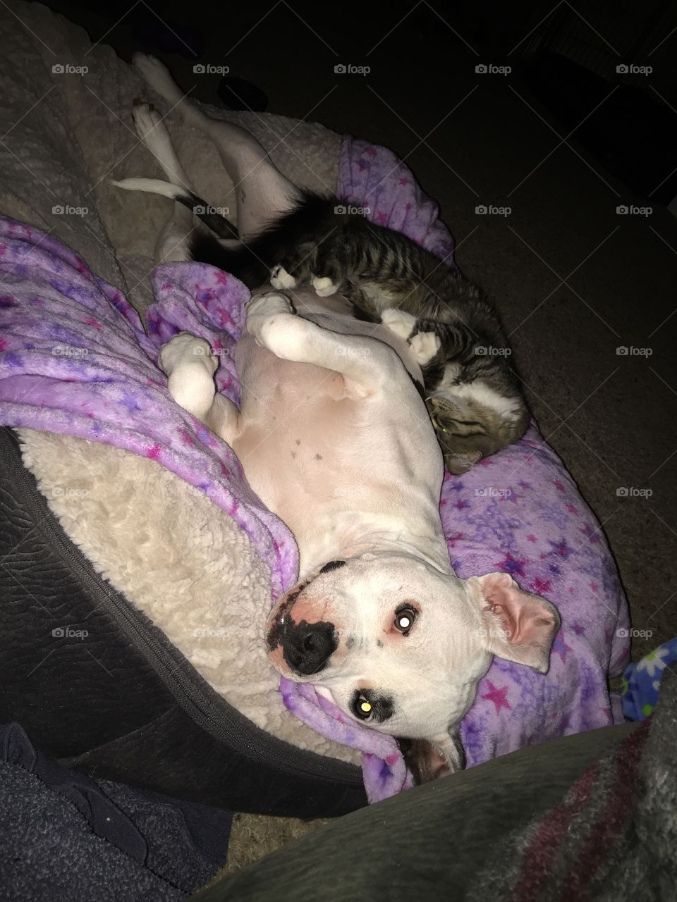 Most comfortable sleeping position