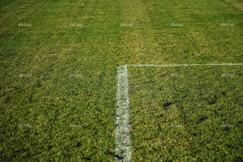 Soccer field