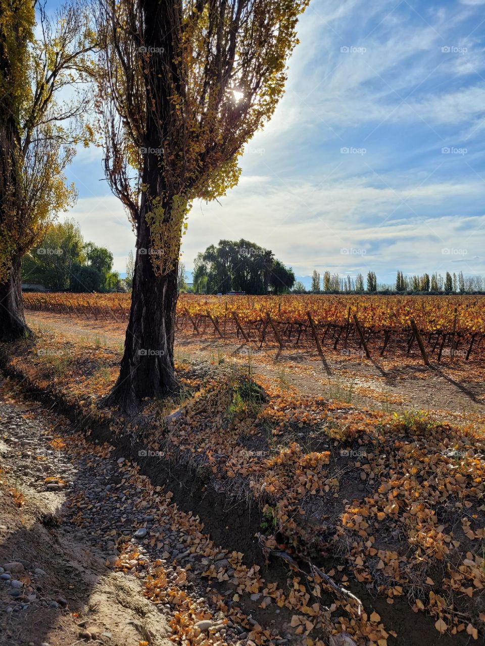 colores de otoño