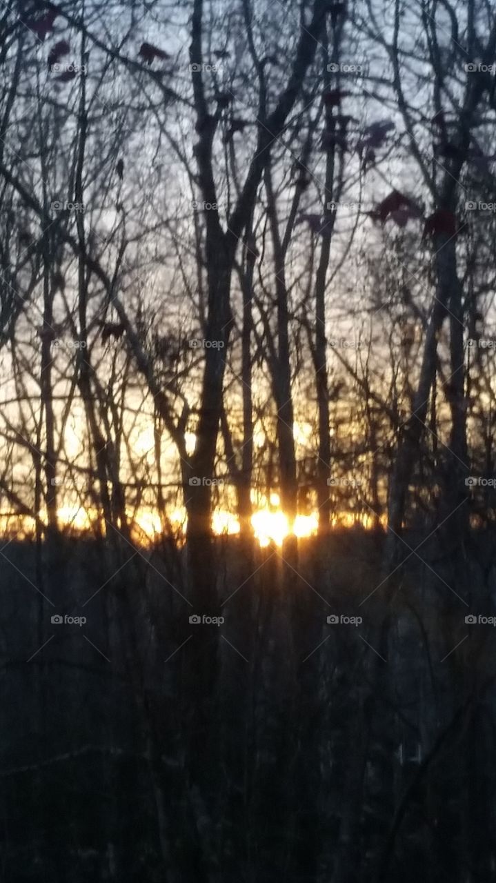 sunset from my front porch in the winter