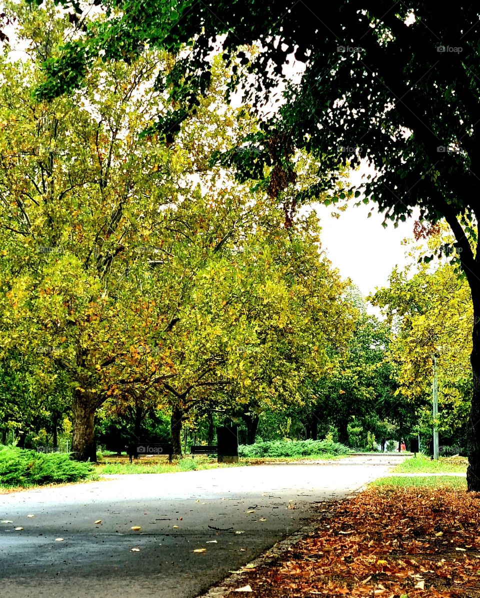 rainy september afternoon
