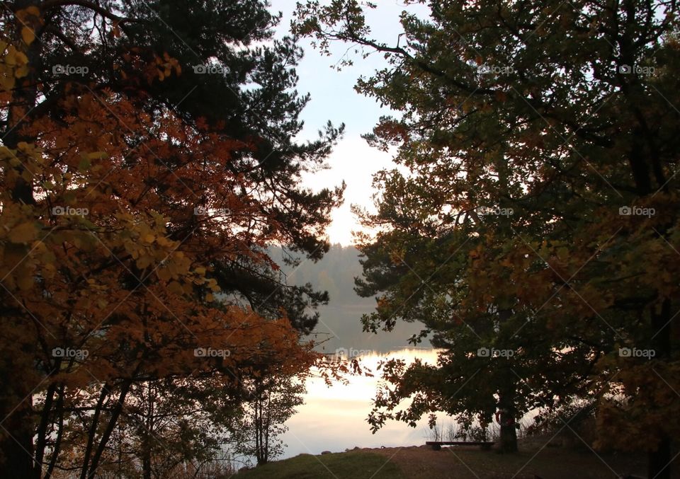 Early morning by the lake