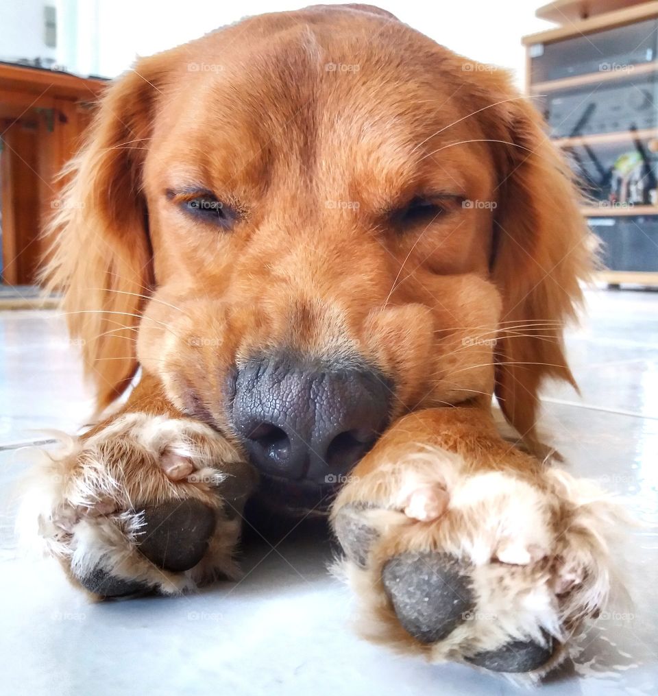 Lost in his dreams !