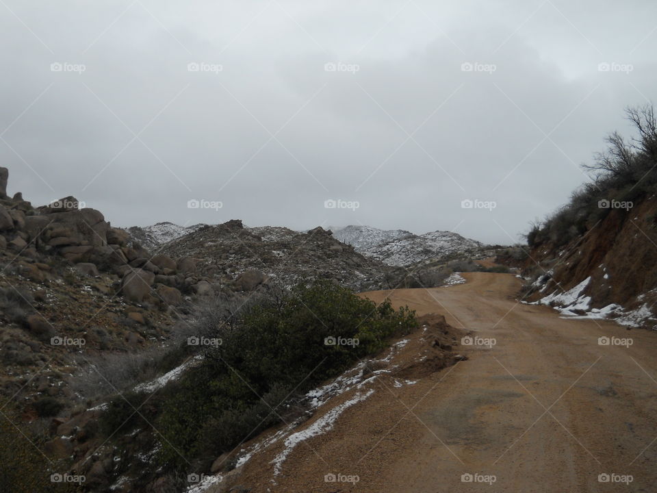 Snow in the desert . February in the AZ desert found it snowing. 