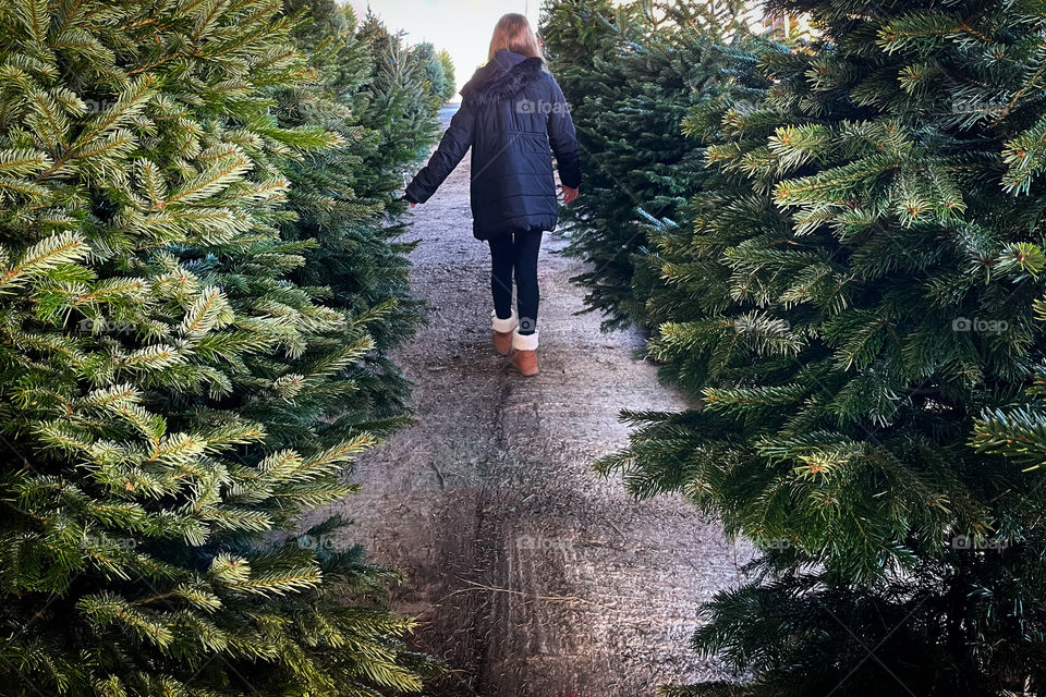 Walking through the trees