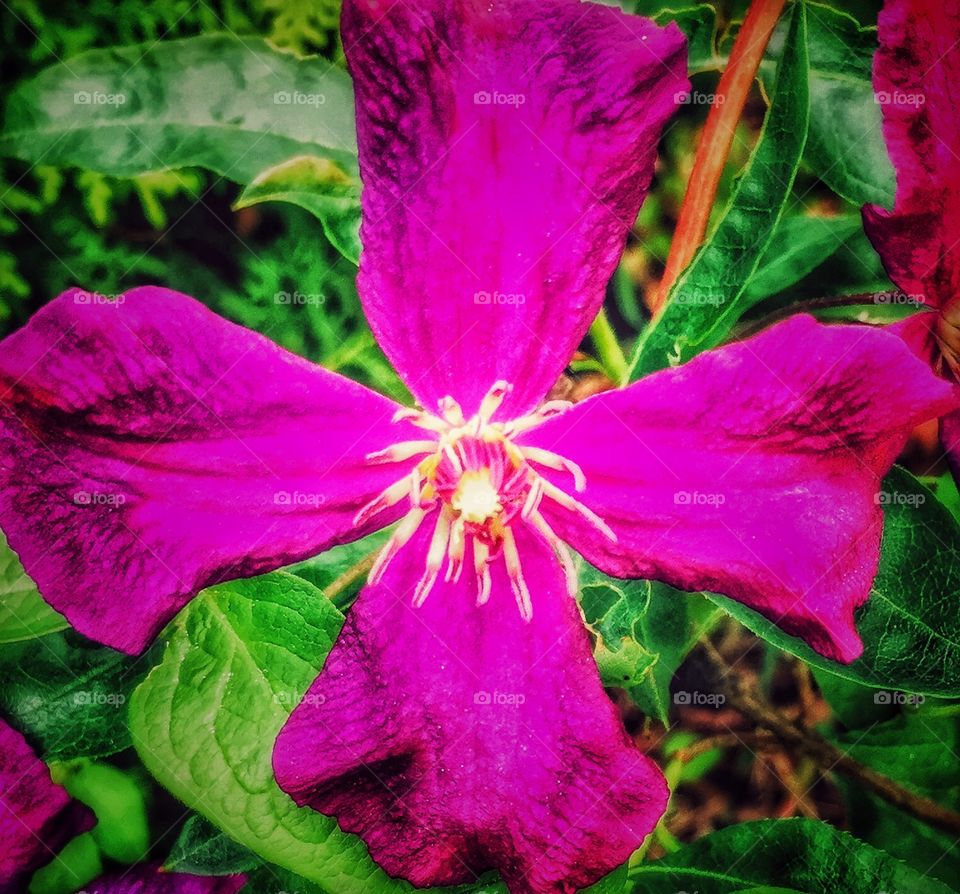 Reach beyond.. You can always be better.