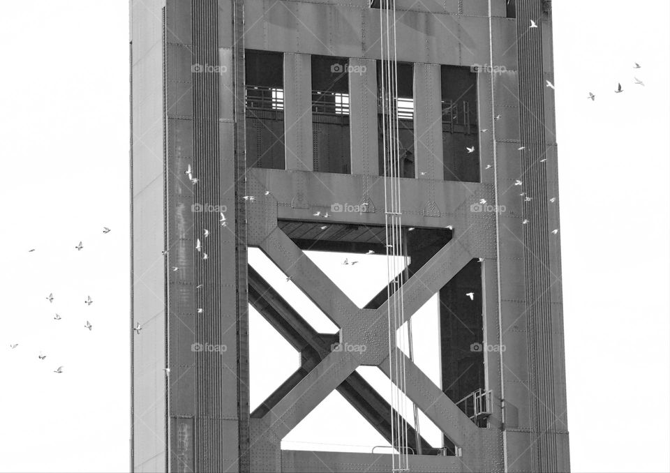 black and white architecture of a bridge on the riverfront in Sacramento California
