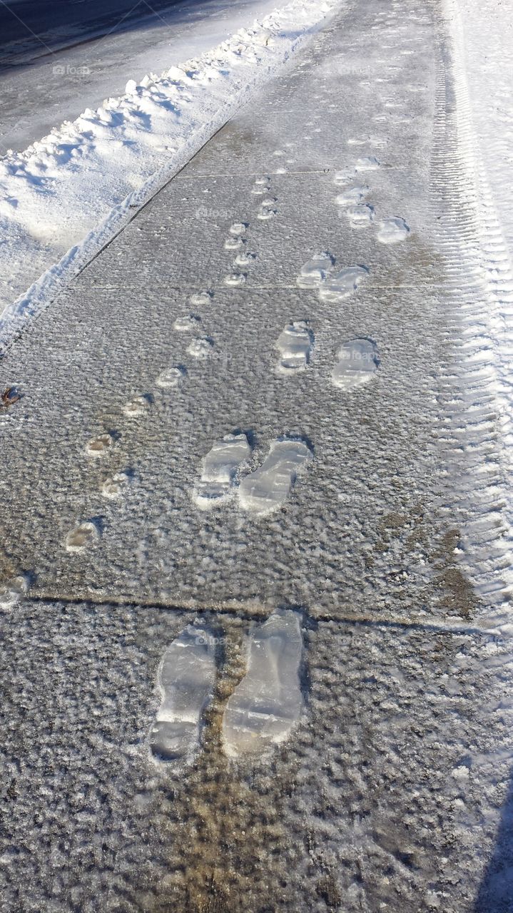 Frozen Footsteps. Footsteps on a sidewalk after rain and snow