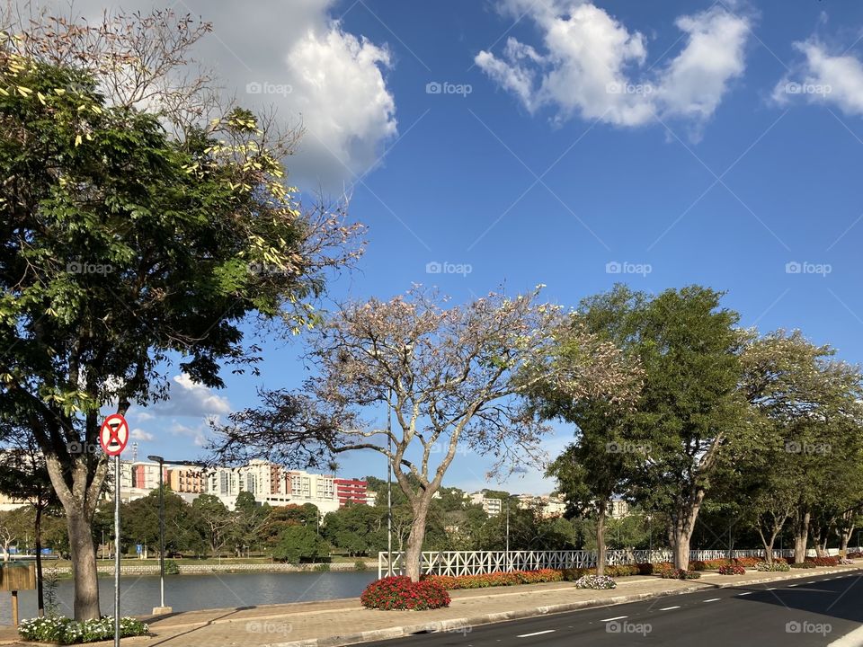 Coisas do isolamento: de carro, estou vendo ruas e calçadas vazias em torno do outrora movimentado Lago do Taboão.
Acaba logo, Pandemia!