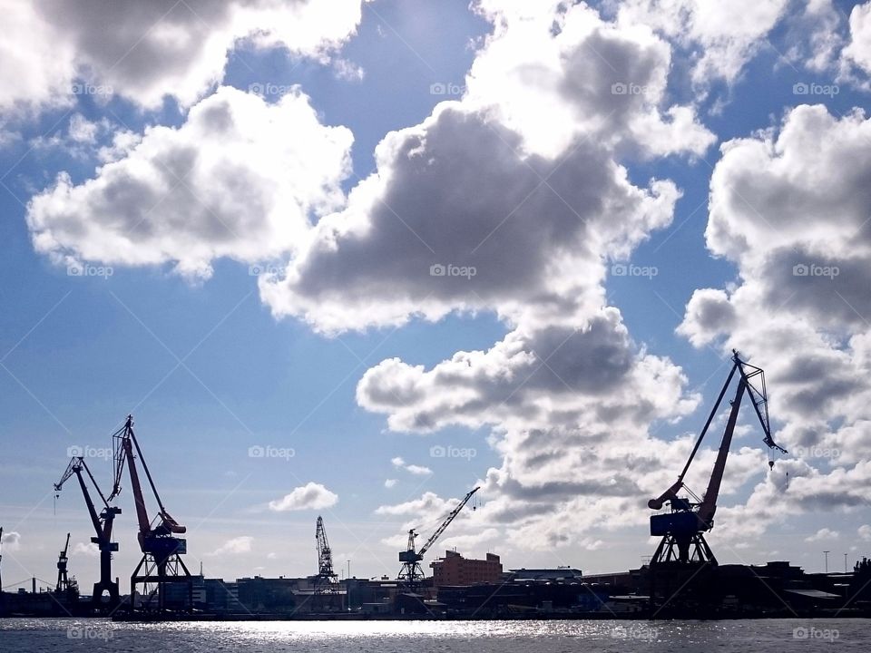 Harbour skyline. Silhouette of harbour cranes