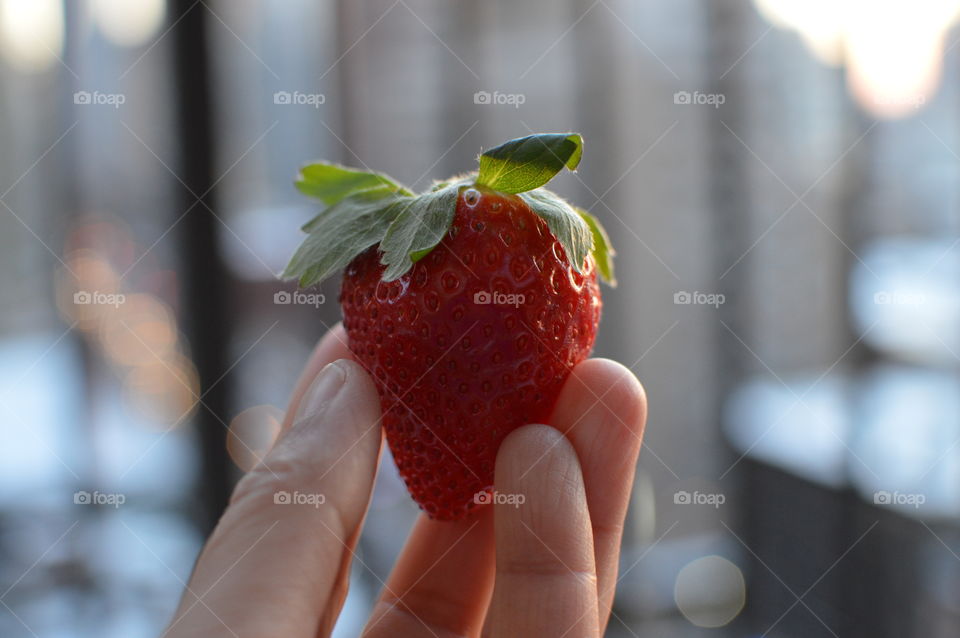 Human hand holding strawberry