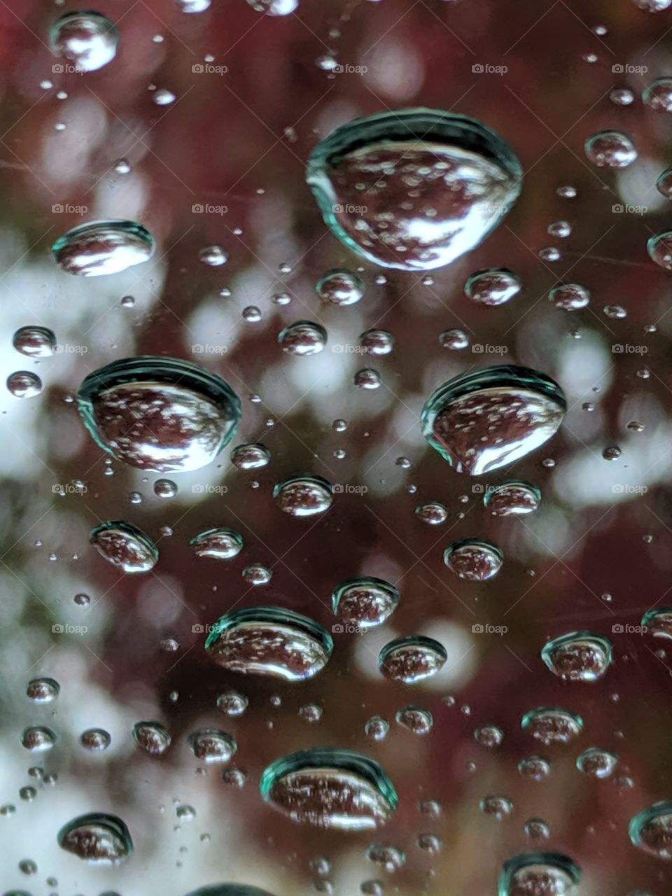 rain drops
