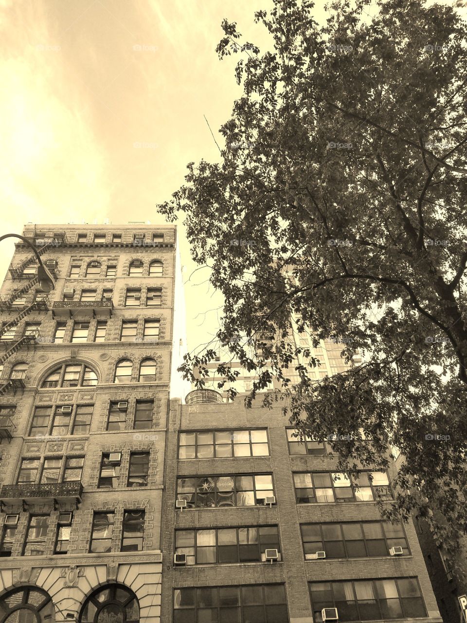 Building in Flatiron on 23rd street - Lower Manhattan. NYC Architecture. Sepia Filter.