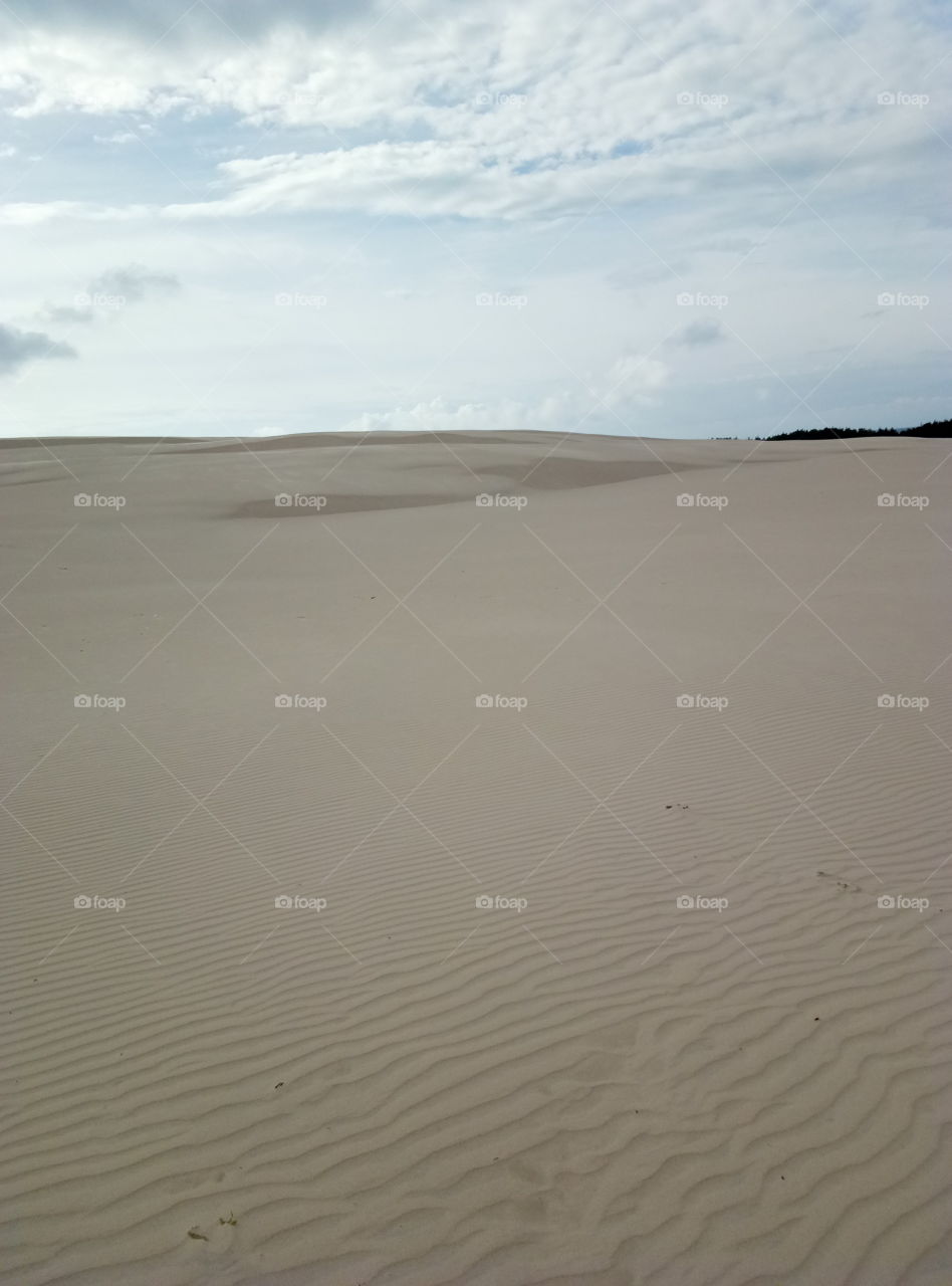 Sand, Desert, Dune, Beach, No Person