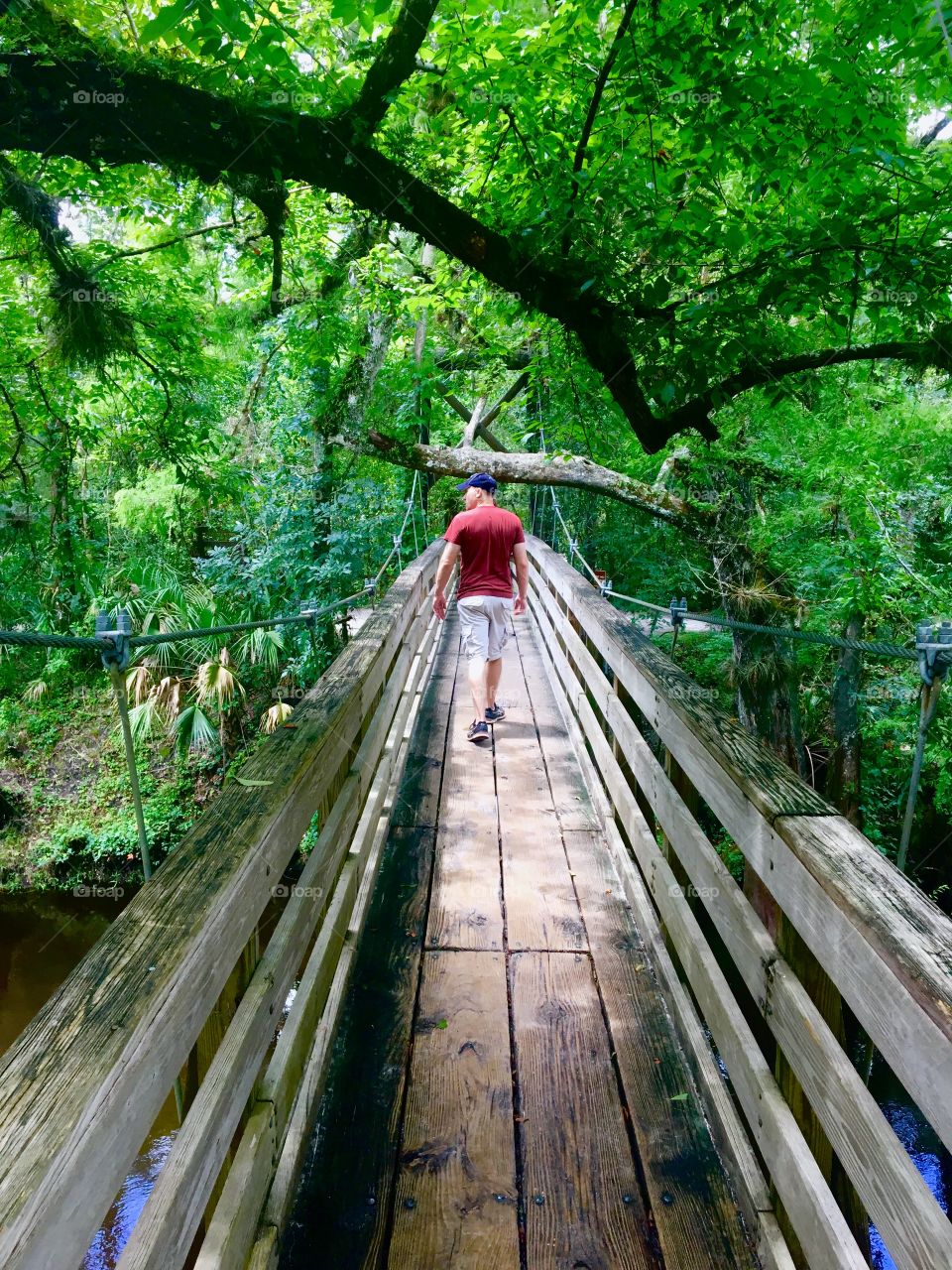 Walking a suspension bridge over the Hillsborough River at the beautiful Hillsborough River State Park in Florida. 