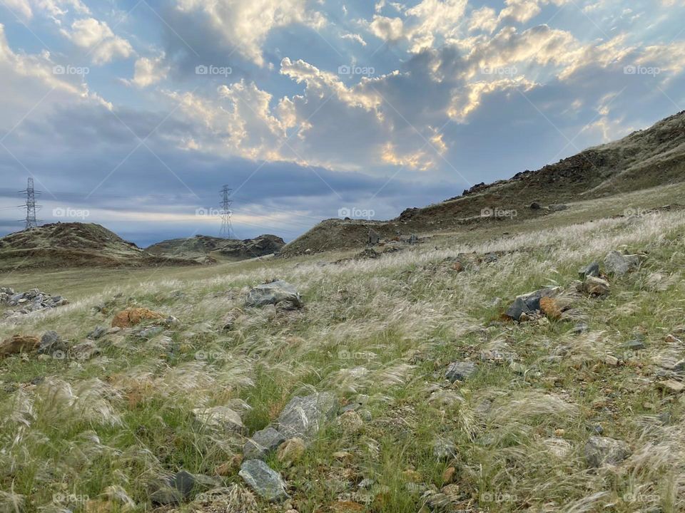 nature, nature picture