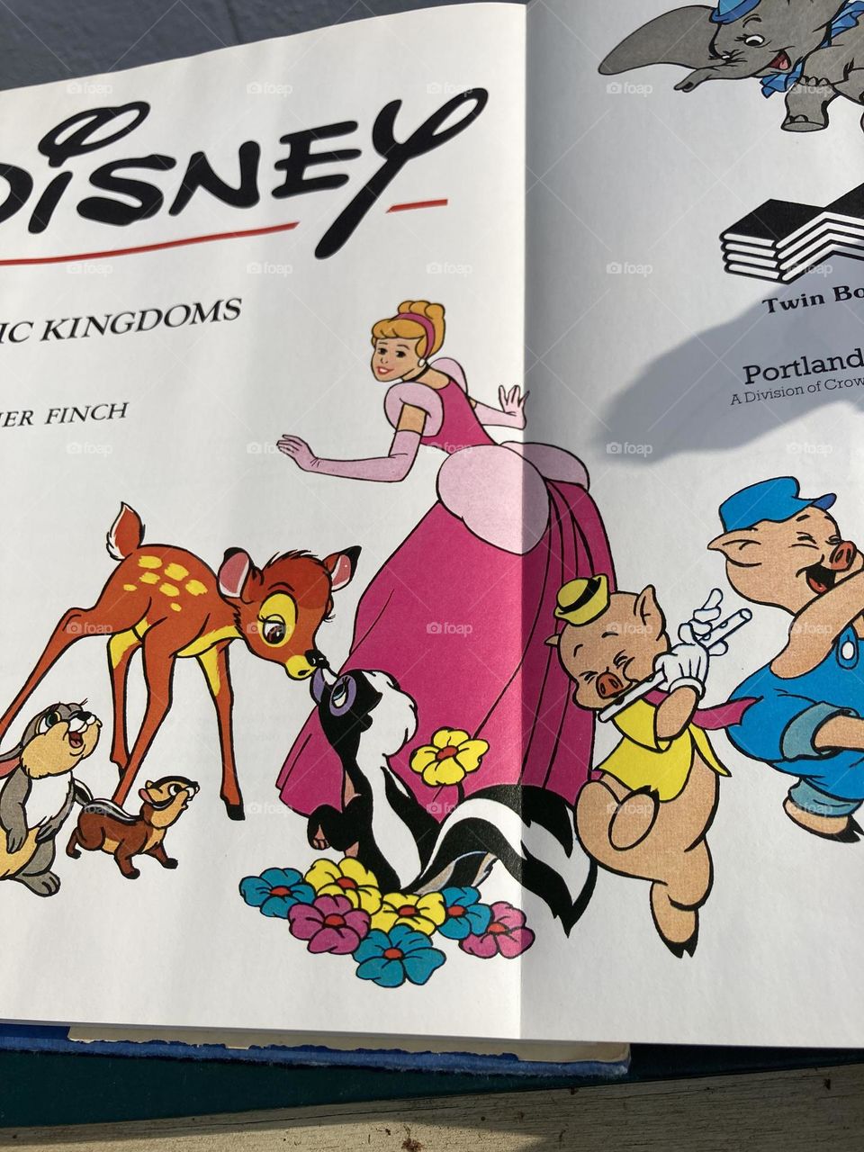 Cinderella dressed in pink Disney 