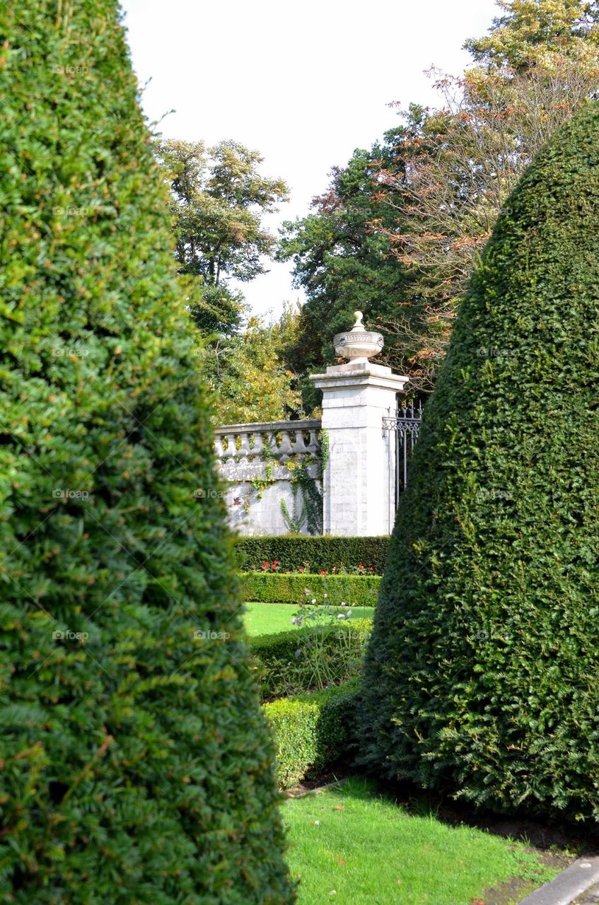 A park in Antwerp