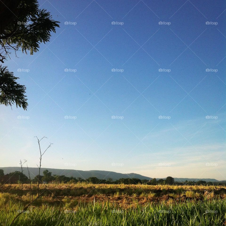 Um domingo de céu limpo, sempre é um bom #domingo!
Olhe a #Serra da Ermida lá ao fundo:
📸
#FOTOGRAFIAéNOSSOhobby
#sky #céu #natureza #horizonte #fotografia 