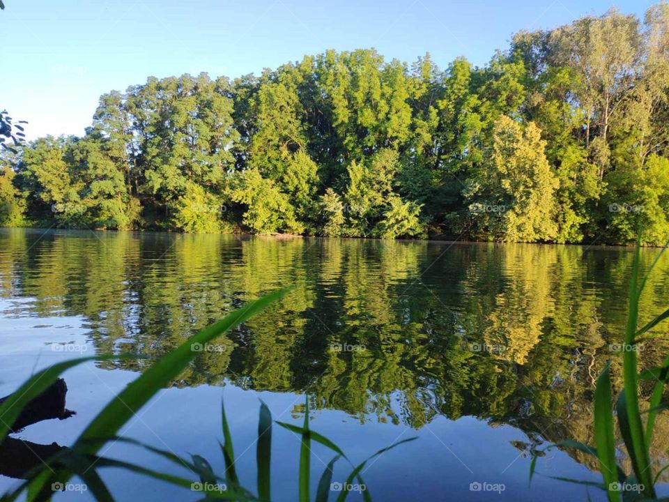 Picturesque landscape