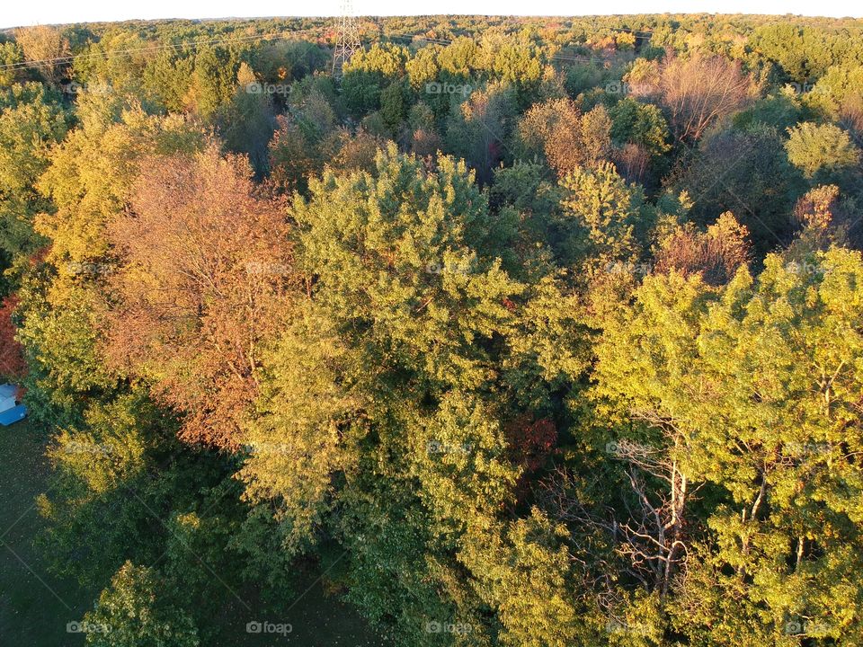 Fall view from above 