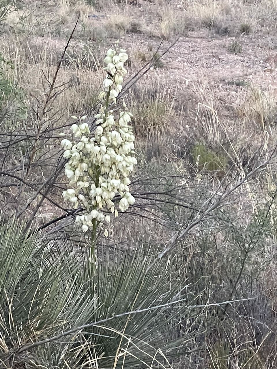 Simply beautiful nature 