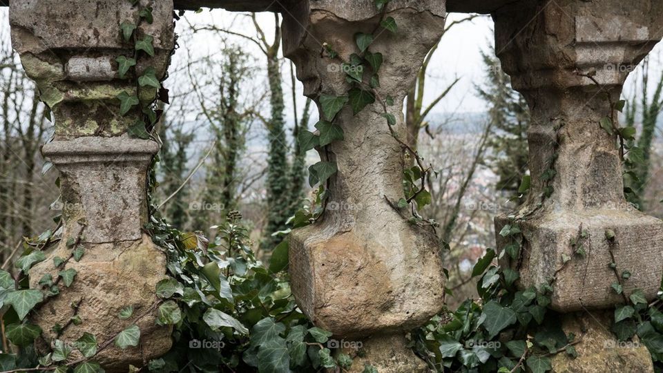  three columns of schloss greifenstein