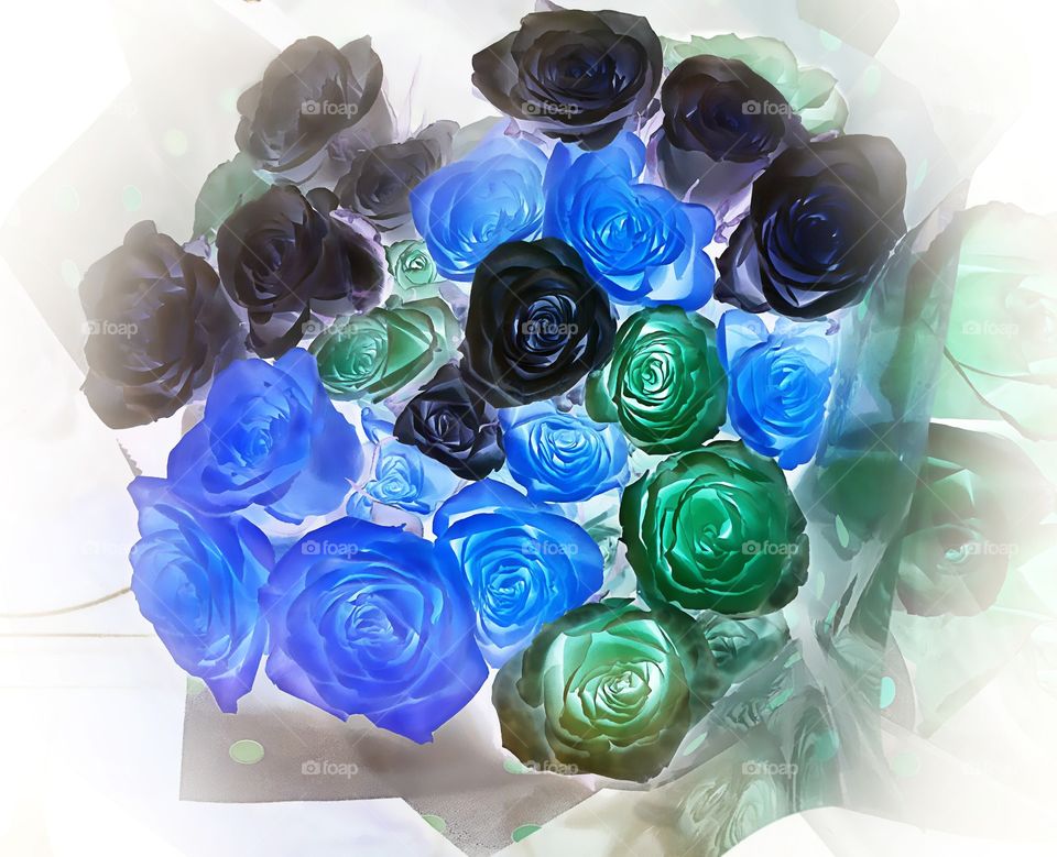 Roses
