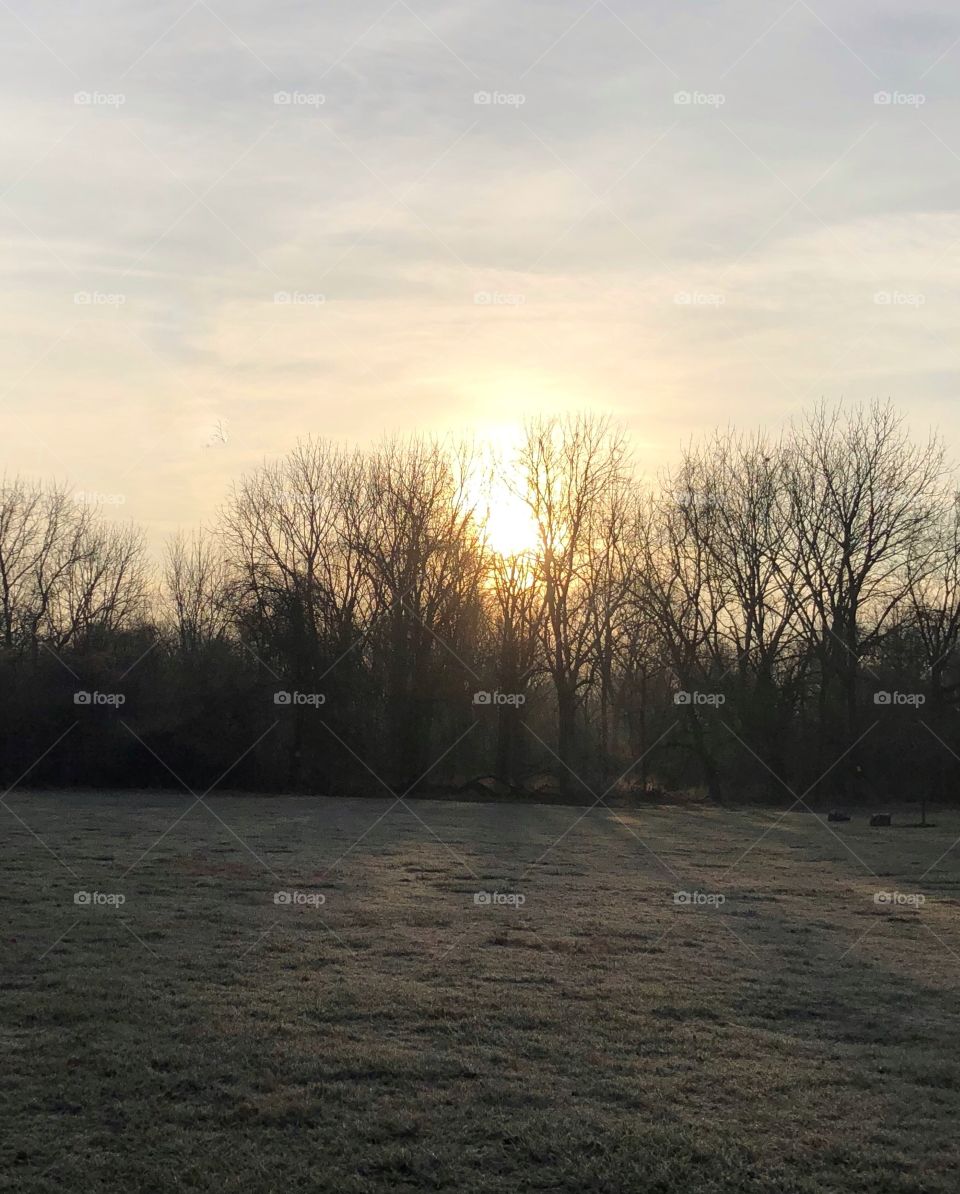 Sunrise wooded area sky clouds trees 