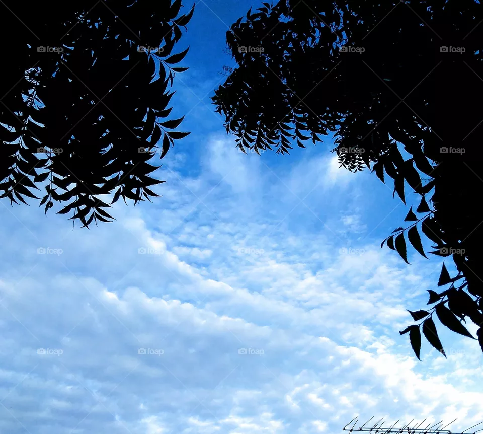 blue sky