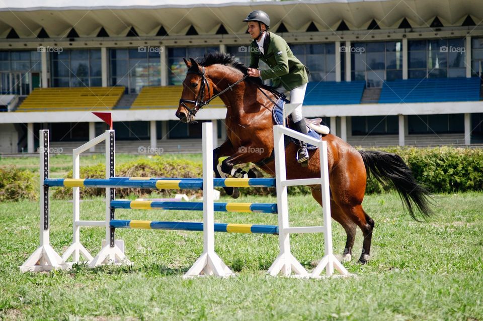 Rider on brown horse in jumping show