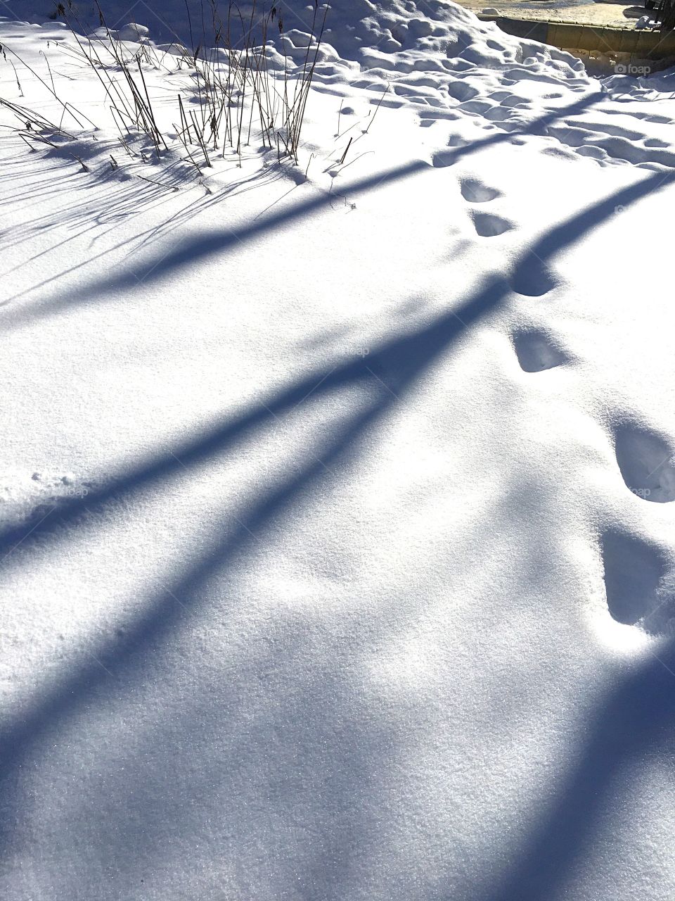 Shadows and footprints in the snow