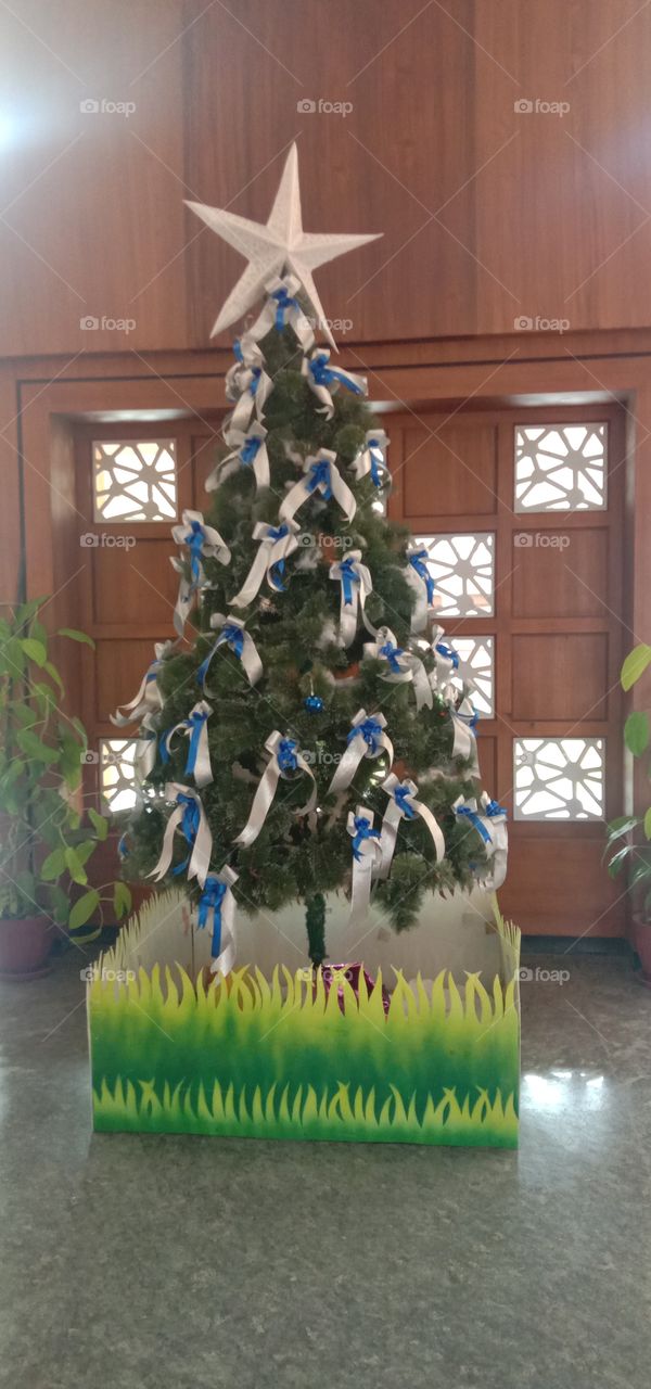 seasonal blessings 🤩❤️✨