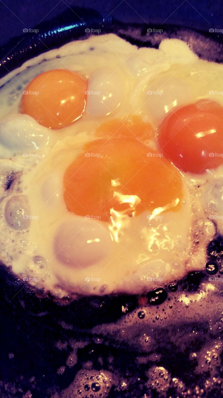 morning breakfast eggs. fresh from our chickens 