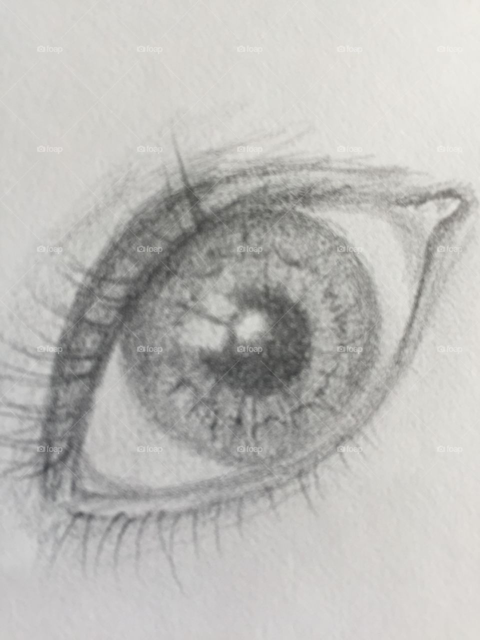 Sketch of eye