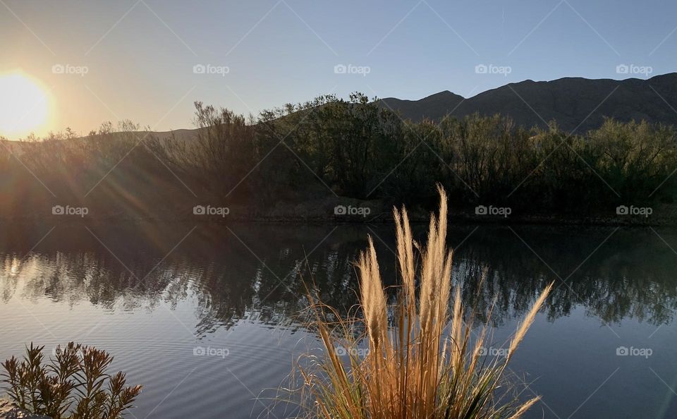 Sunrise in the River 