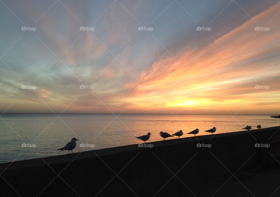 Sunset, Water, Sea, Dawn, Beach