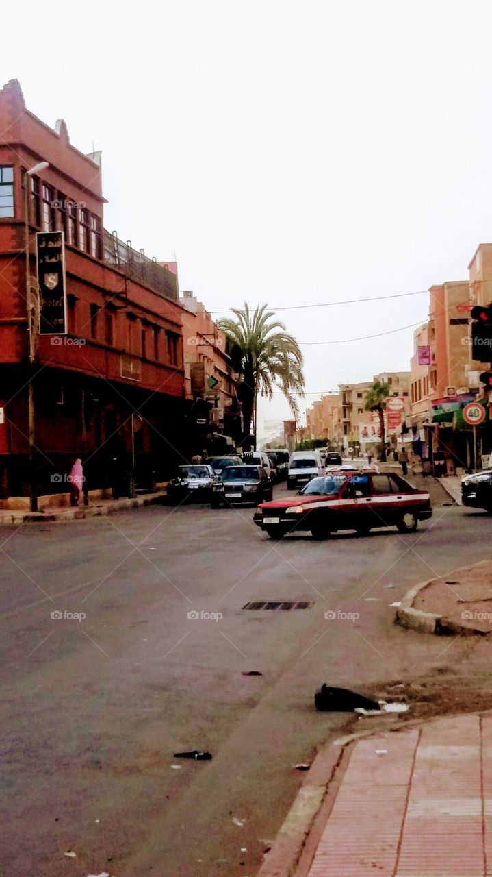 A palm_tree in the street near hotel ,Salam in Goulimine,Morocco