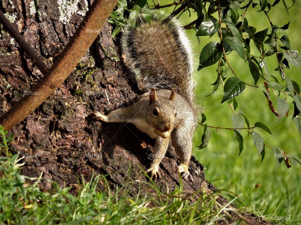 thanks for breakfast