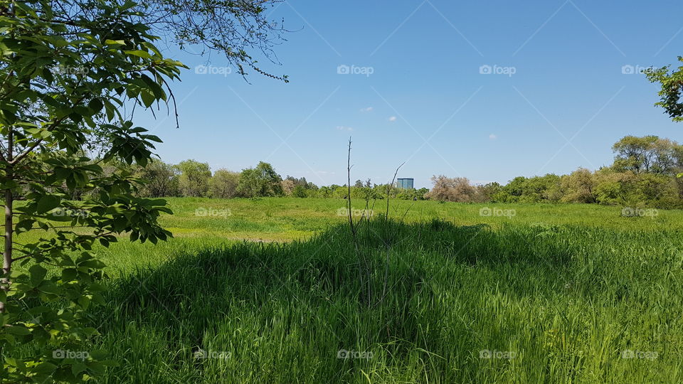 building on the horizon in the park