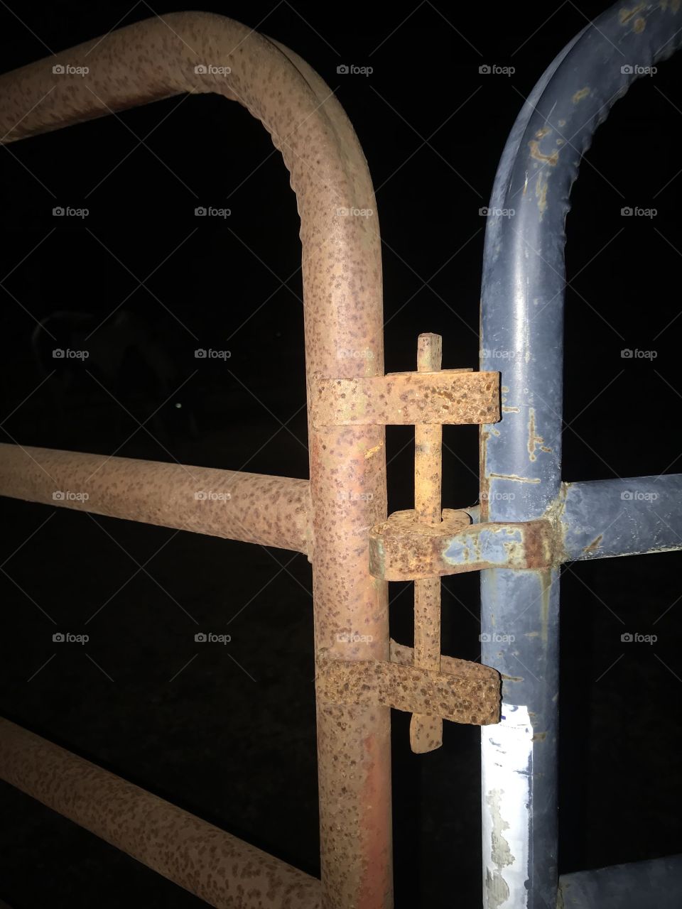 Old and not so old horse panels working together 