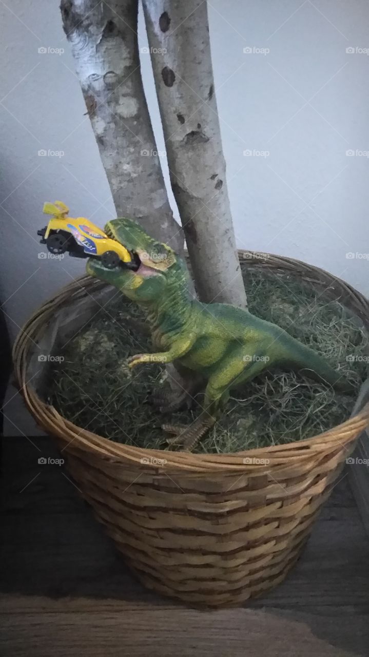 Dino eats