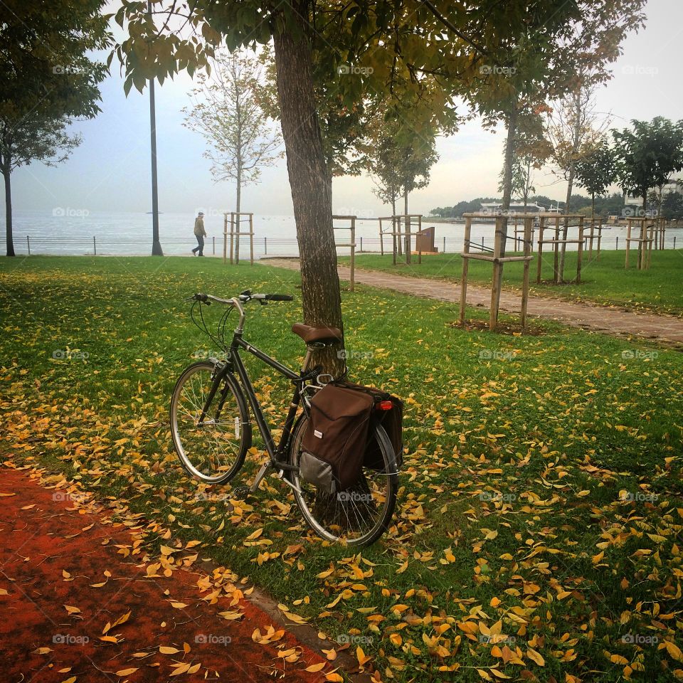 Bike. Lovely autumn scene